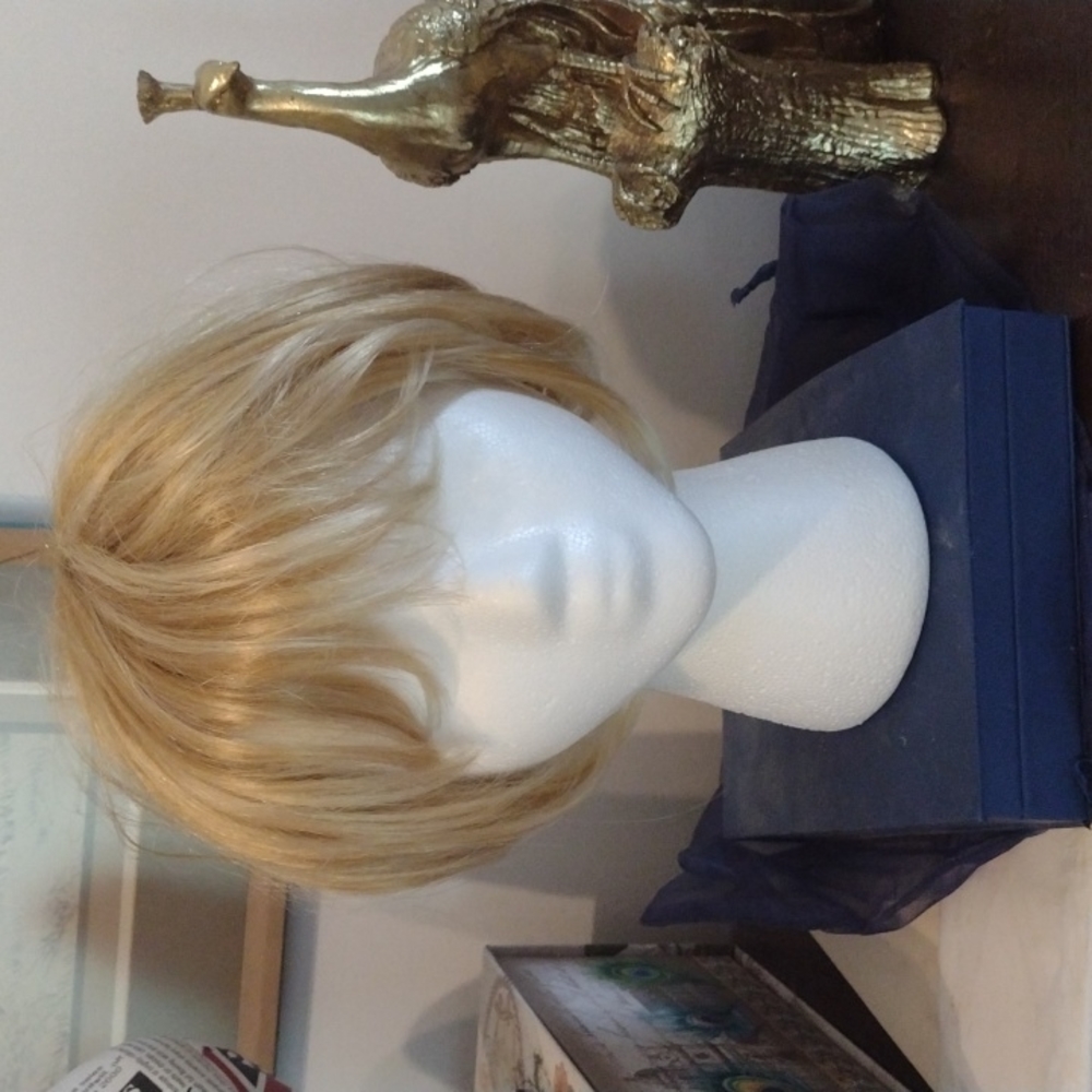 Wig
